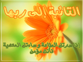 surprise de la joyeux noel